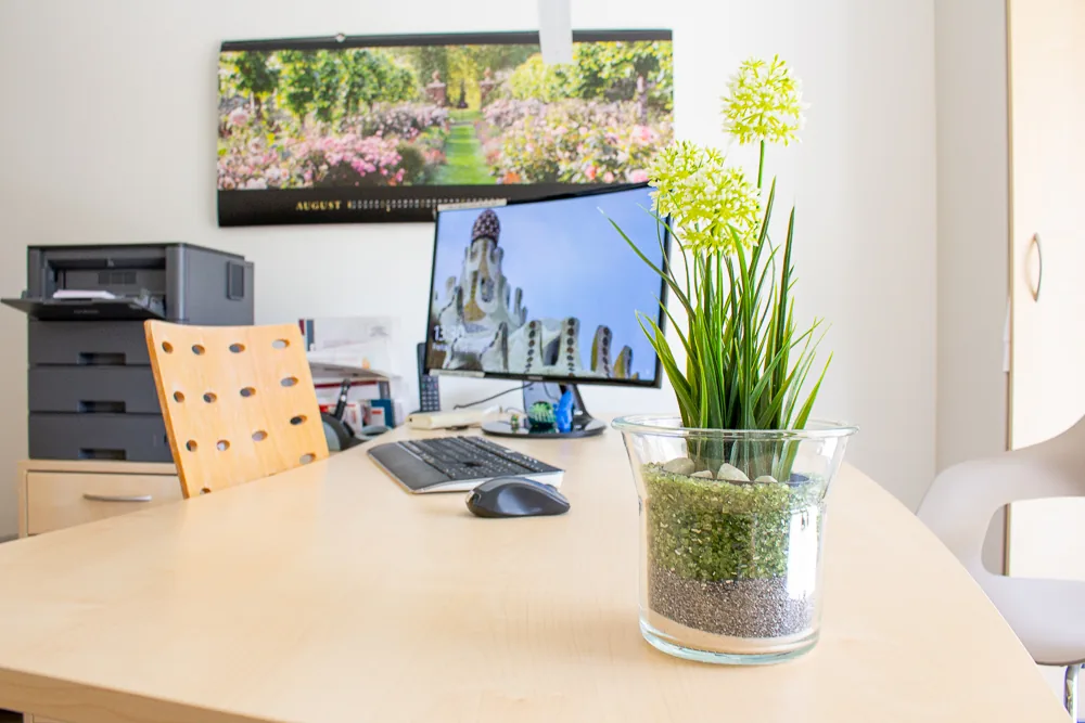 Sprechzimmer mit Schreibtisch und Blumen